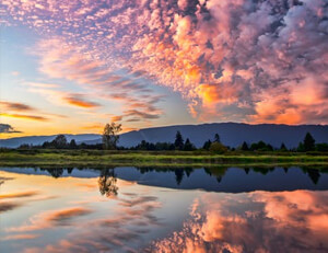 少年花游选手优雅出击，赢得评委青睐