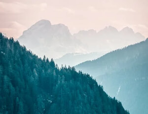 捷克击剑选手沉着应战，智取对手夺下金牌